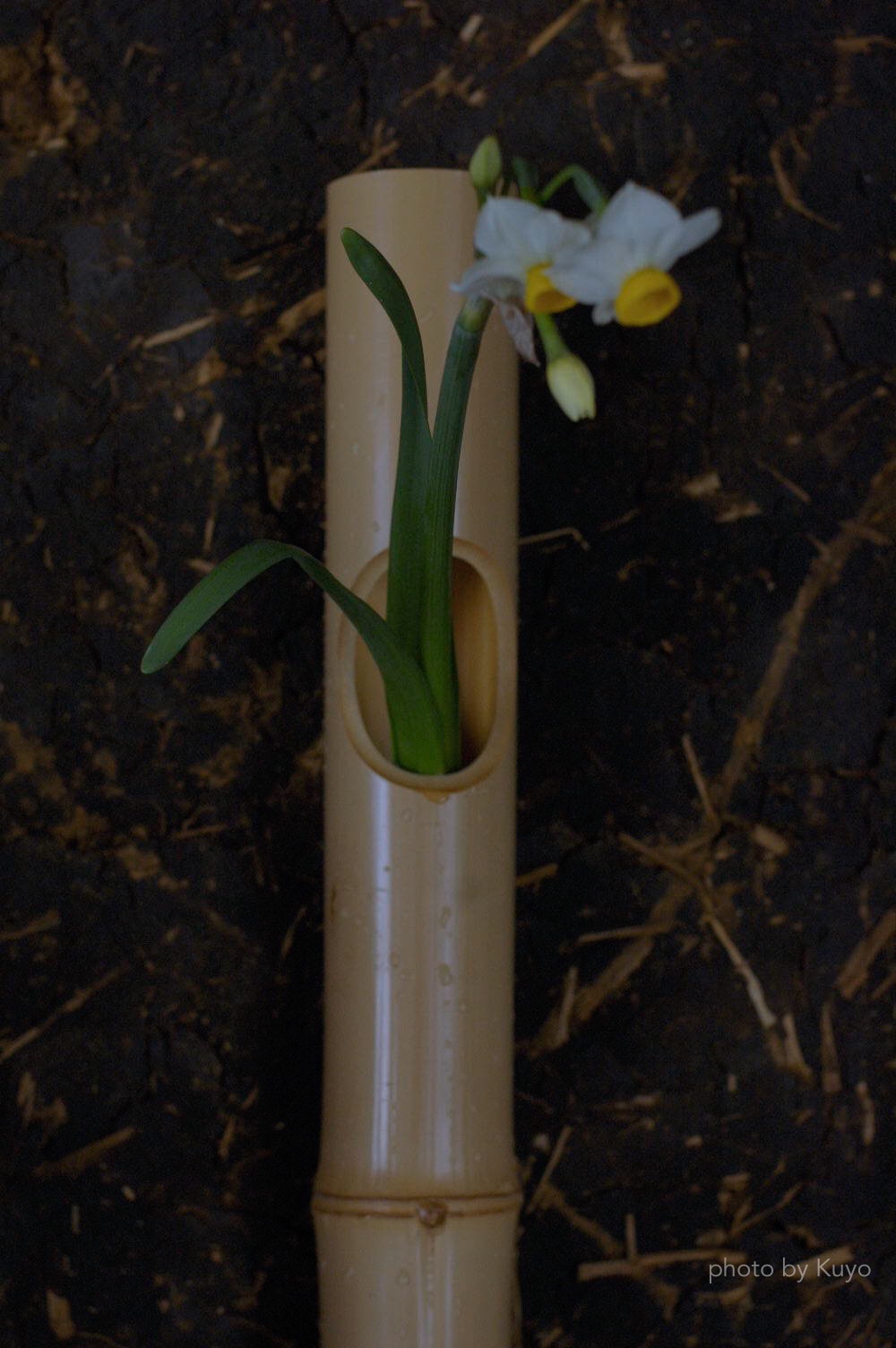 花入れ Flower base – 柄杓師 三原啓司